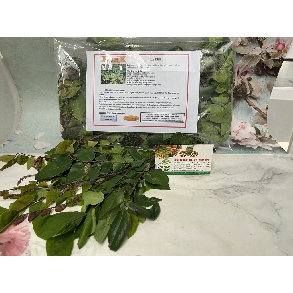 Lá Khế Tươi 500g - Loại Cao Cấp - Cây Thuốc Nam Thanh Bình