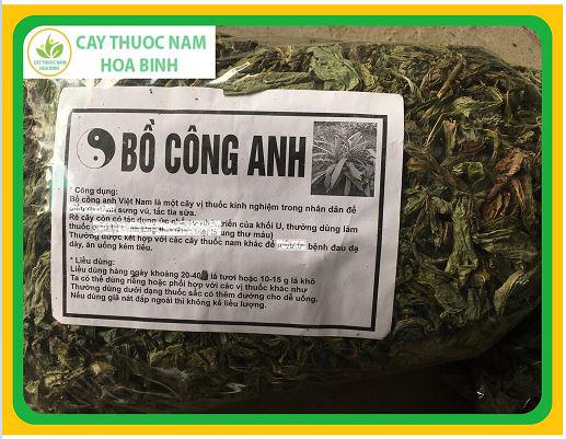 [GIÁ BÁN BUÔN] 1KG LÁ BỒ CÔNG ANH HÒA BÌNH [KHÔ, XANH, SẠCH, THƠM]