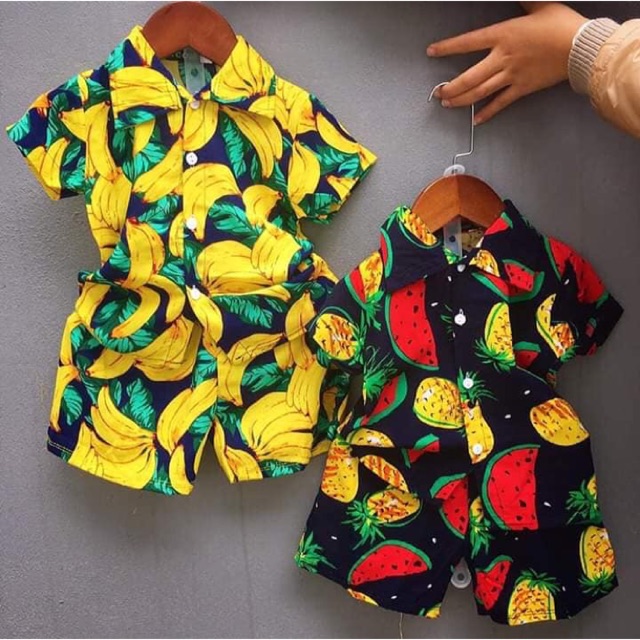Combo 60 bộ trái cây