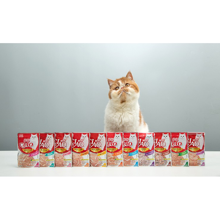[Thanh lý} Combo 5 gói Pate mèo CIAO gói 60g (Date 10/2023) (Giao vị ngẫu nhiên)