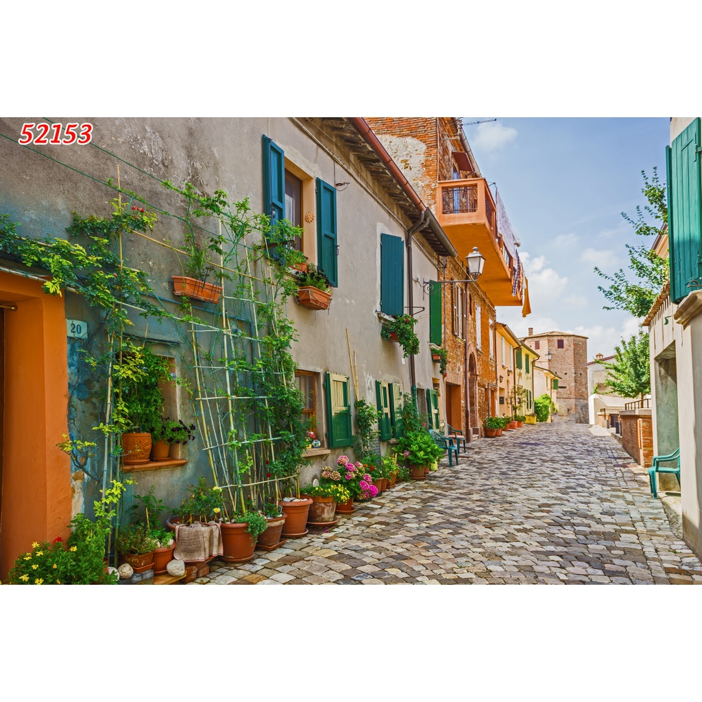 Tranh dán tường Hàn Quốc Trà chanh cao cấp hình cây hoa lá 3D hiện đại, nhiều mẫu