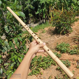 Động Tiêu Trúc Việt Chuẩn âm hệ tiêu Bát Khổng cho người mới