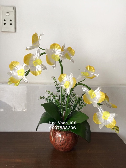 Hoa hồ điệp