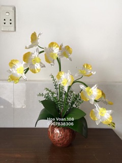 Hoa hồ điệp