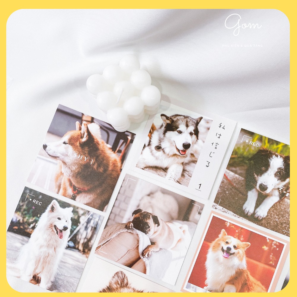 Set quà tặng học sinh dành cho bạn nữ/ set 9 món - Always Beside | BigBuy360 - bigbuy360.vn