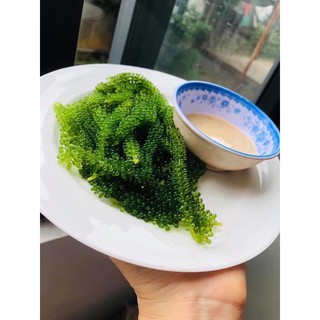 Nước chấm Mè rang kewpie chính Hãng
