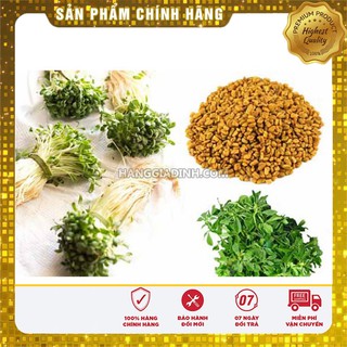 Hạt giống rau mầm cải thảo dược Methi