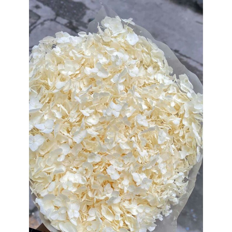 Hoa cẩm tú cầu khô trang trí resin nail- make up cô dâu
