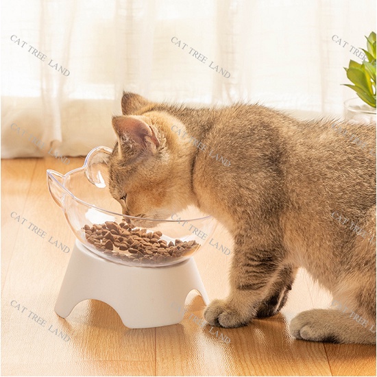 BÁT ĂN CHÓ MÈO, ĐẾ CAO CHỐNG GÙ, BẢO VỆ CỘT SỐNG CỔ - KHAY ĐỰNG THỨC ĂN THÚ CƯNG