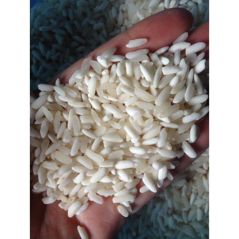 Gạo nếp Điện Biên 1kg, giàu chất tinh bột, dinh dưỡng hạt mẩy, to đều, trắng sáng, đặc sản vùng Tây Bắc | Tạp hóa Ánh Th