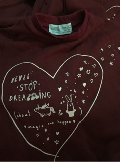 Áo nỉ Zara Never Stop Dreaming