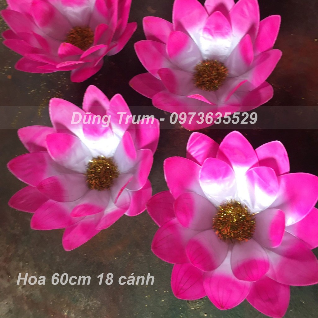 Hoa múa văn nghệ múa dưỡng sinh, hoa biểu diễn cầm tay mẫu 60cm 18 cánh siêu đẹp