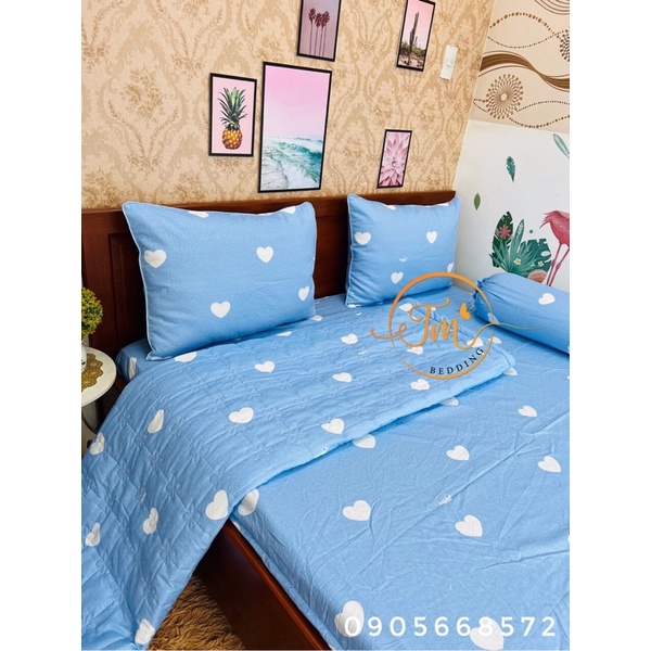 Drap 100% coton 4 món ko kèm mền trái tim siêu xinh