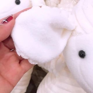 Cừu bông hàng xuất xịn cho bé