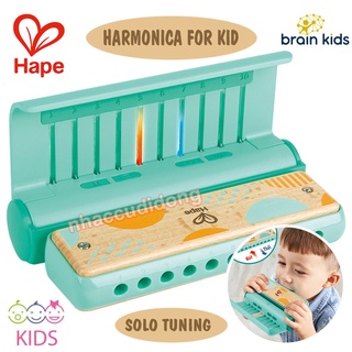 Bộ kit tập kèn harmonica cho bé loại diatonic 10 lỗ hape cho trẻ từ 3-10 tuổi có clip thực tế