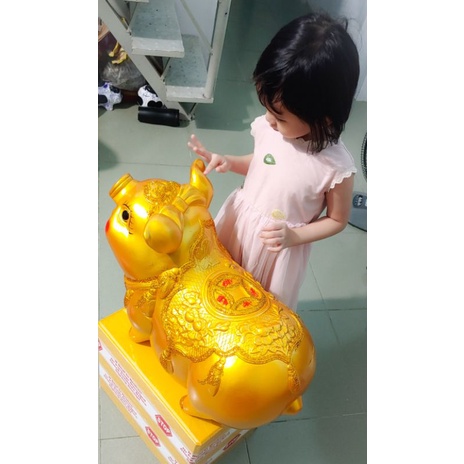 Heo đất khổng lồ, lợn đất khổng lồ, heo bông 65cm