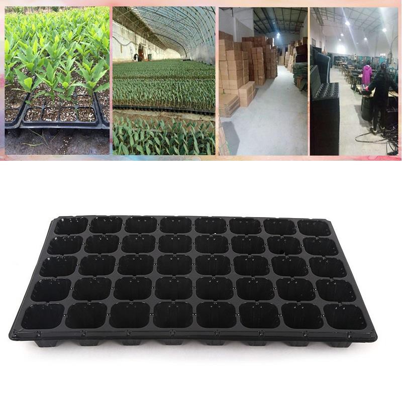 Hộp 150 khay ươm cây (Dày 1mm, nặng 120g), khay ươm hạt, vỉ ươm rau (32 lỗ)