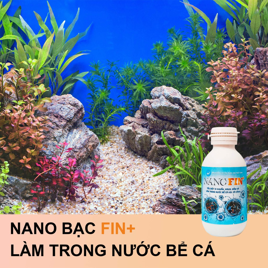 Nano bạc thủy sinh Fin+ 💦Làm sạch bể cá, phòng bệnh cá cảnh, cá Koi💦