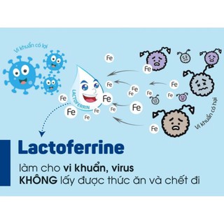 Hàng Chính Hãng Sữa Hoàng Gia Úc Lactoferrin Formula Milk (400g) giúp tăng đề kháng cho trẻ