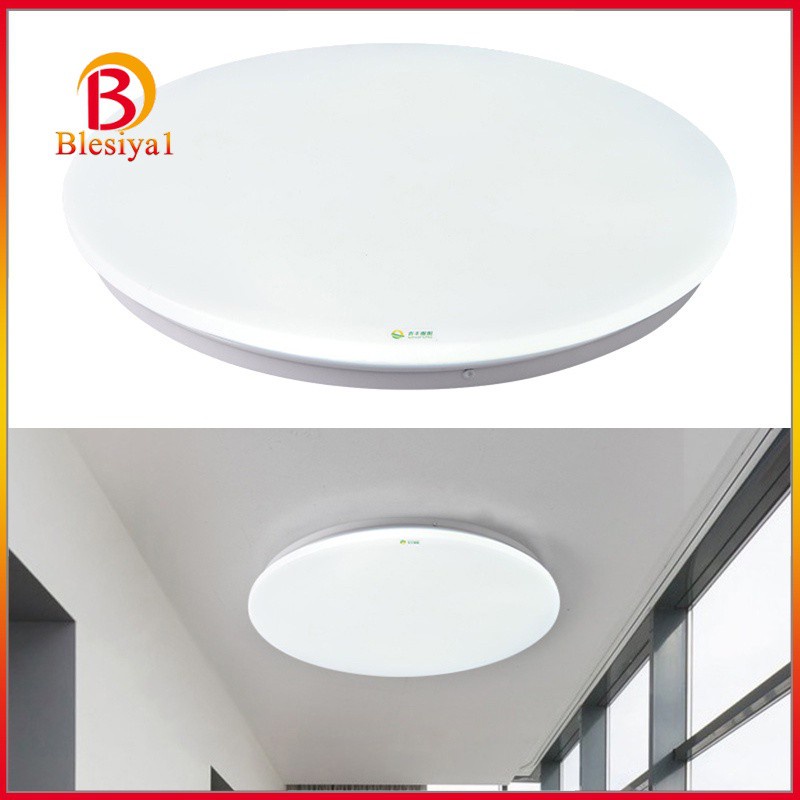 [BLESIYA1] LED Ceiling Lights Flush Mounted Ceiling Light Wall Lamp Laundry Hallway