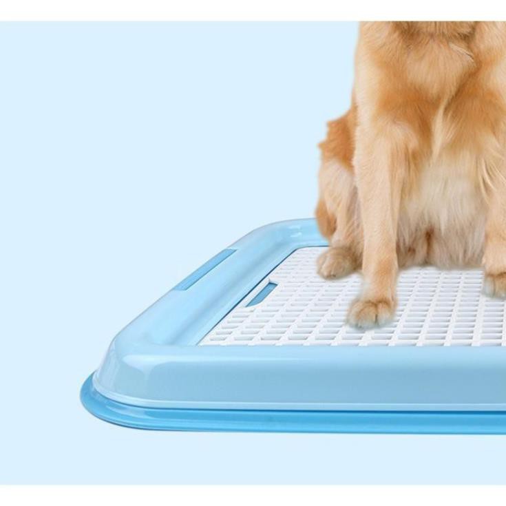 (Loaij Có trụ) Khay vệ sinh cho chó kiểu cải tiến cho chó dưới 8kg (có trụ)