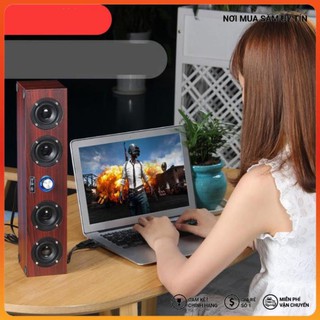 Loa Vi Tính Gỗ HP X11