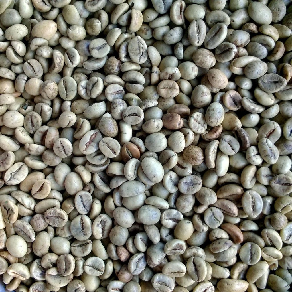 5kg Cà Phê Nhân Sống Robusta Chế Biến Khô S16 5kg