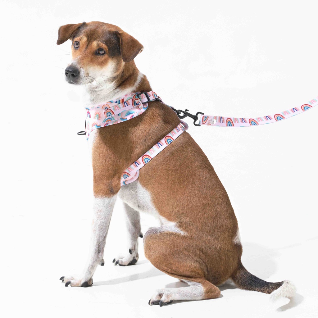 Yếm dắt chó cao cấp Furry êm ái họa tiết xinh xắn RAINING RAINBOWS - Phụ kiện chó mèo