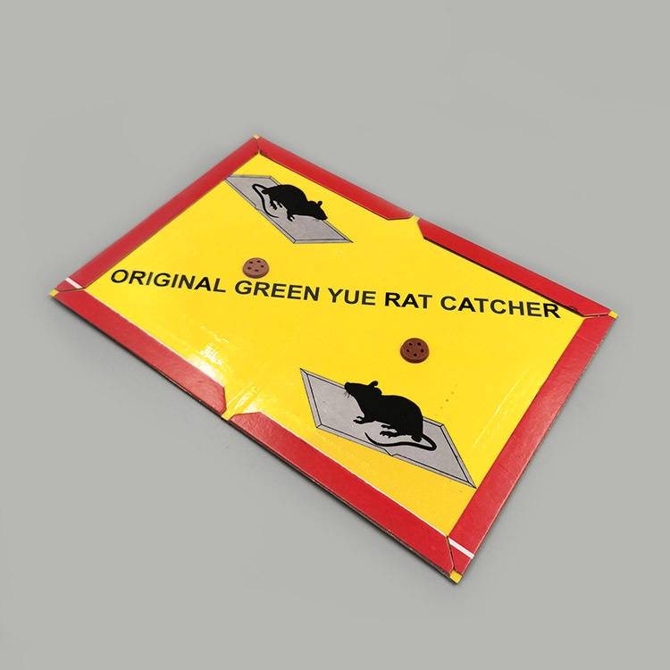 Miếng dán bẫy chuột dạng dính cao cấp
