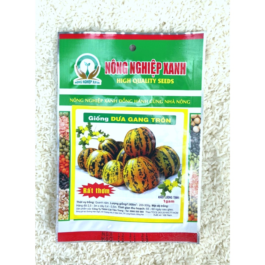 Giống Dưa Gang Tròn