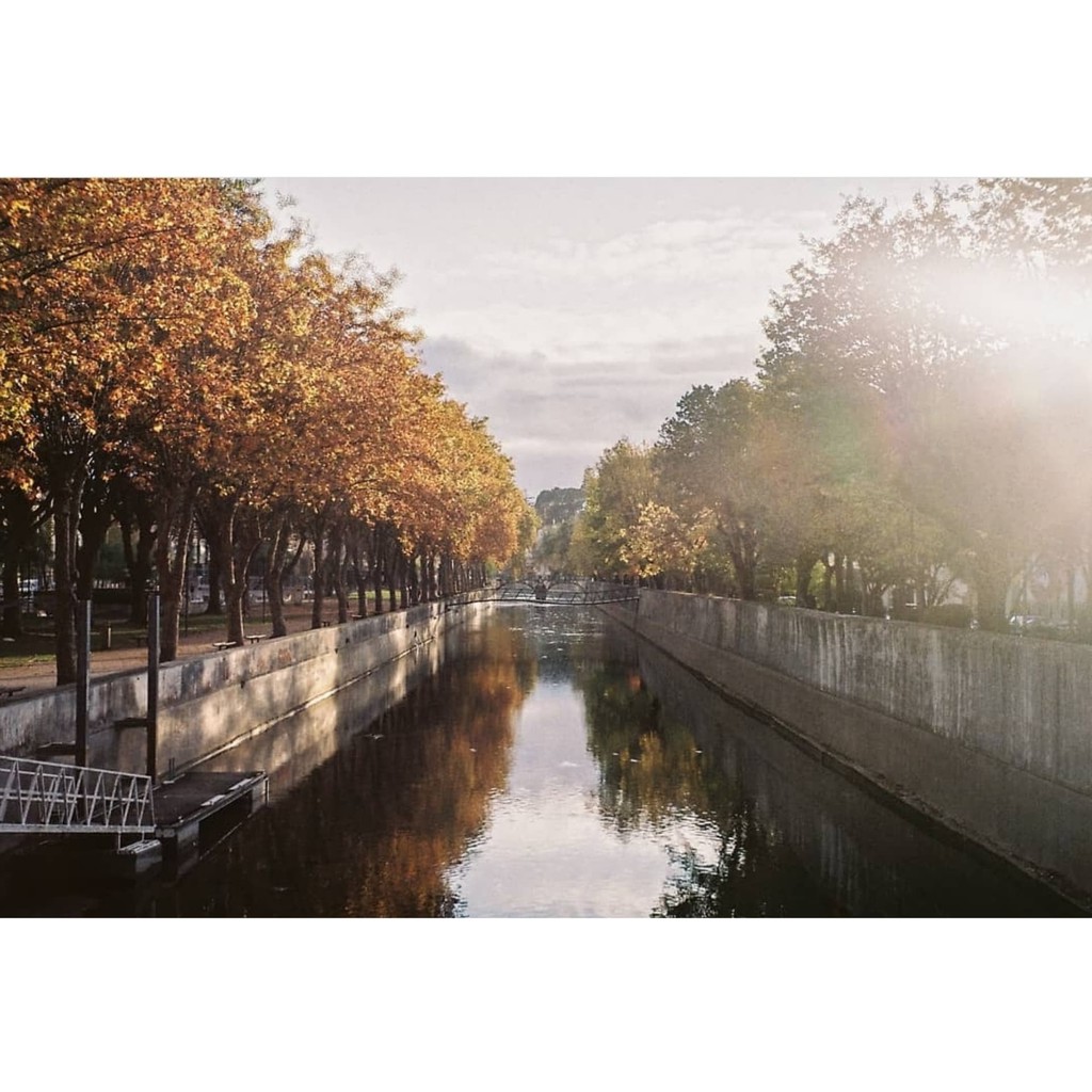 MÁY ẢNH FILM PENTAX ESPIO 115G