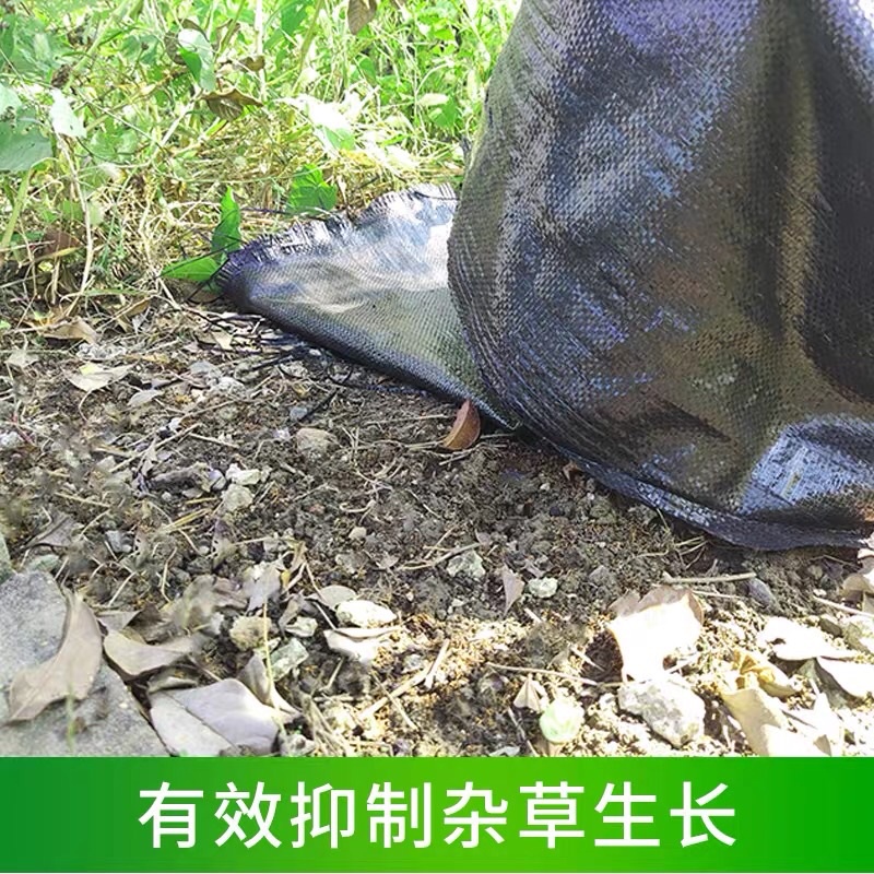 Bạt  phủ cỏ dùng trong  nông nghiệp (khổ 0,5m dài 200m)