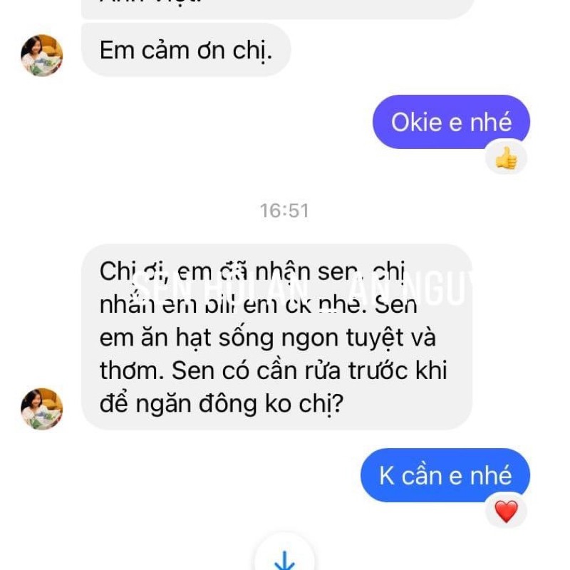 Hạt sen tươi Hội An chuẩn xịn dùng làm sữa hạt nấu chè, chưng yến, hầm gà ...