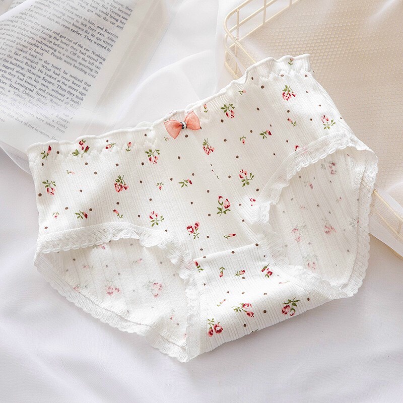Quần lót nữ cotton, combo 5 quần chíp Q1718 cute dễ thương cao cấp kháng khuẩn nâng mông, đồ lót - UStyles