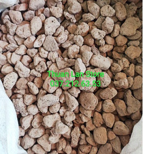 Đá Pumice (Đá Bọt Núi Lửa) Trồng Cây Size 1-2cm gói 1kg