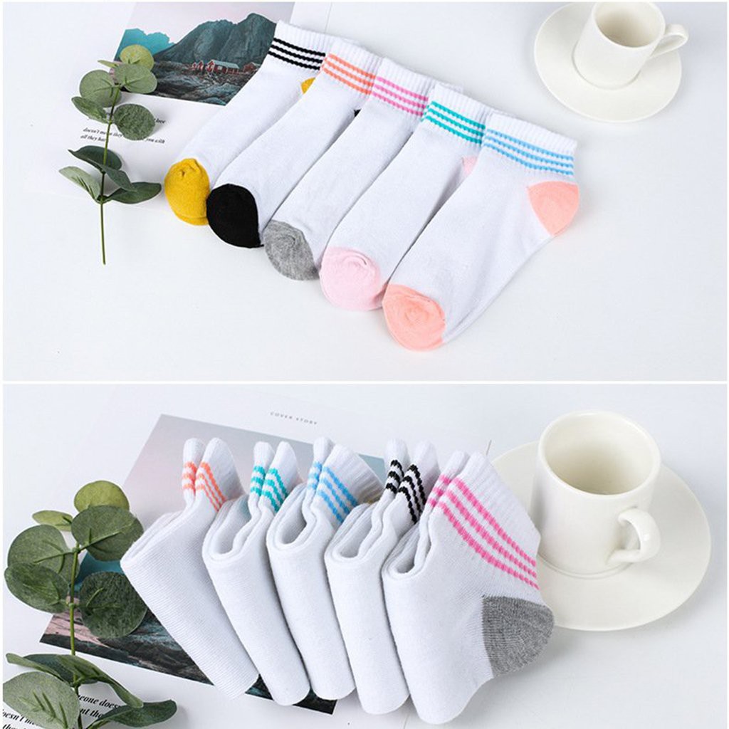 [Set 5 Đôi Tất Vớ]Tất Vớ Nữ Thun Cotton Trắng 3 Sọc Ngang Buta Tn07