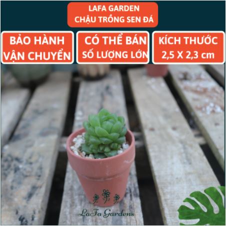 Chậu đất nung LAFA 1 cái, đặc biệt chuyên trồng cây sen đá