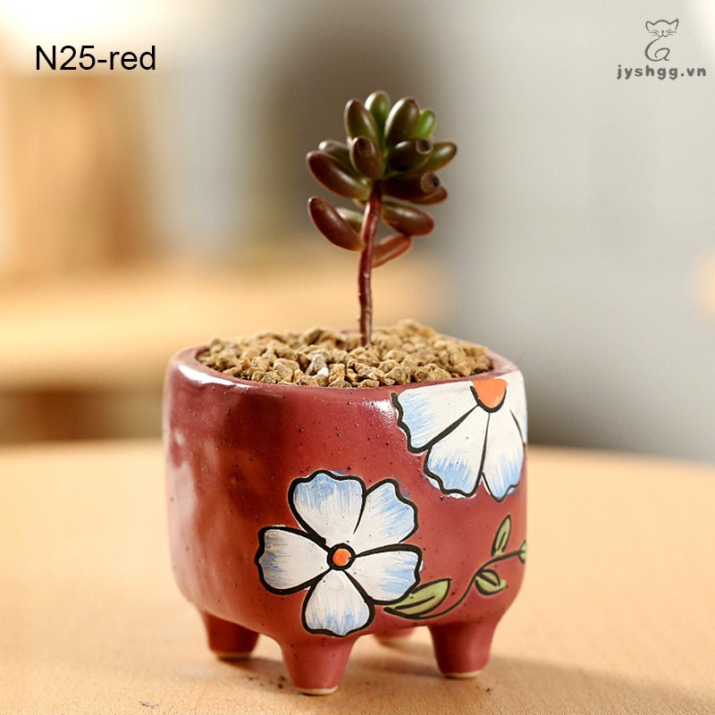 Chậu Sứ Trồng Cây Nhỏ Gọn Tiện Lợi