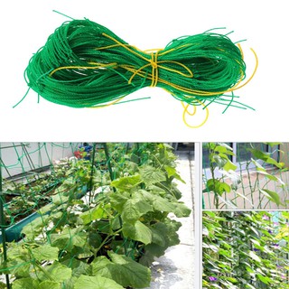 Lưới Trồng Giàn Cây Leo ama88