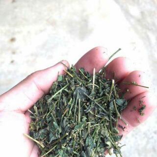 Chè giảo cổ lam