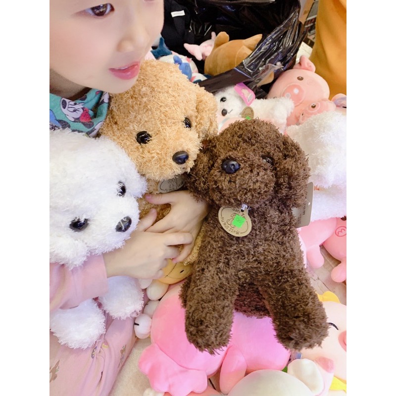 Chó Poodle bằng bông