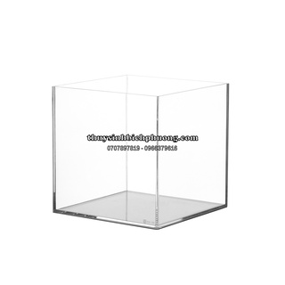 HỒ CÁ CHẤT LIỆU ACRYLIC - CHUYÊN SHOW CÁ NUÔI BETTA ĐỂ BÀN SIÊU ĐẸP