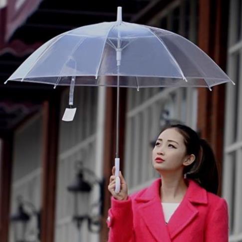 ô đi mưa trong suốt gấp gọn phong cách Hàn Quốc [thích hợp để chụp hình lãng mạn dưới trời mưa PK Tkutrang