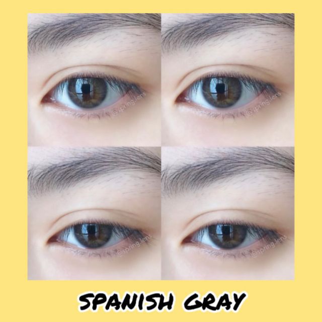 Spanish Gray _ Lens Khay _ Kính áp tròng