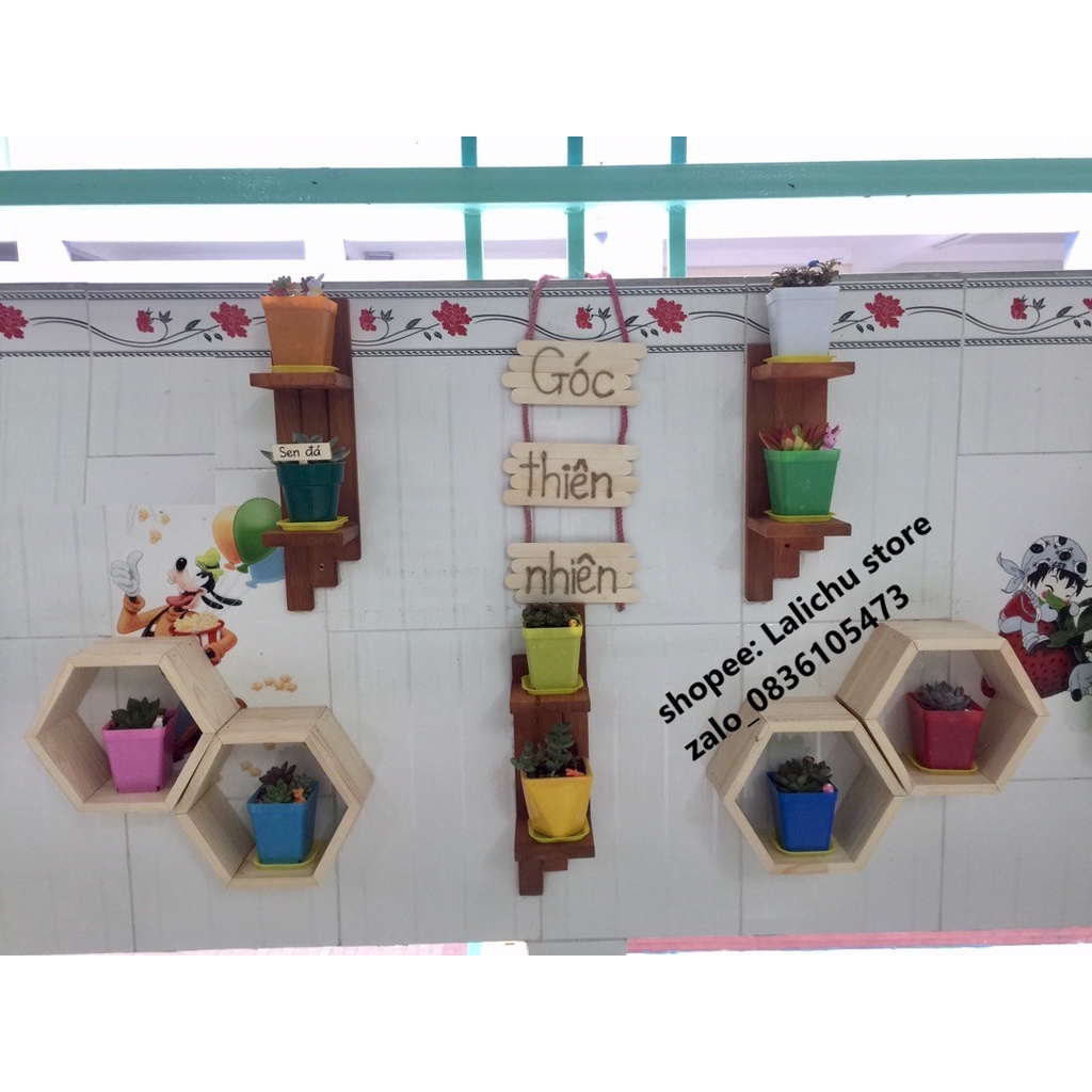 Kệ gỗ tổ ong gắn tường trang trí