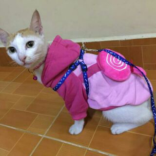 Áo balo cute chó mèo
