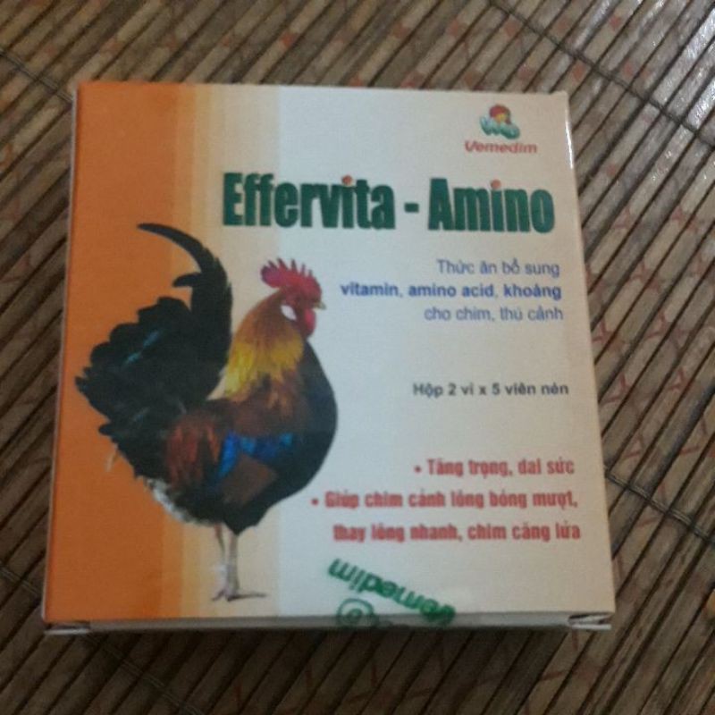 Thuốc bổ chim chó effervita amino