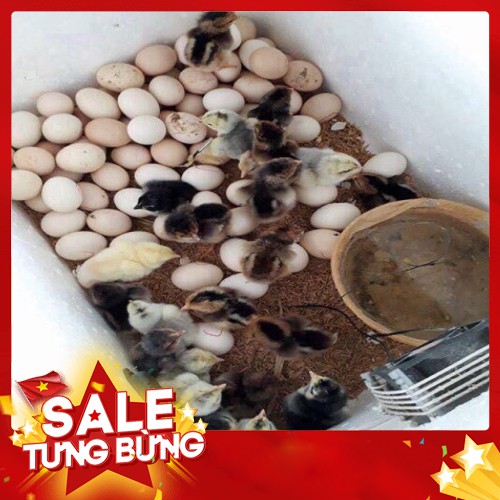 [ GIẢM GIÁ ] ComBo bộ điều khiển p100+mô tơ đảo+thanh ray trượt+đèn pin+gói um+SHD