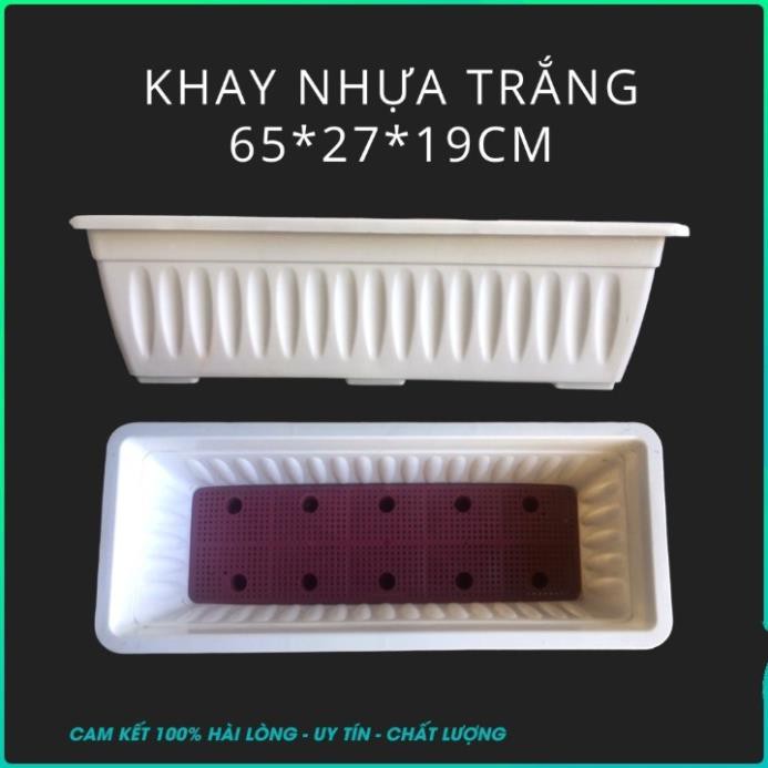 Combo 2 Khay Nhựa Trắng 65*27*19cm trồng cây rau hoa treo ban công thông minh