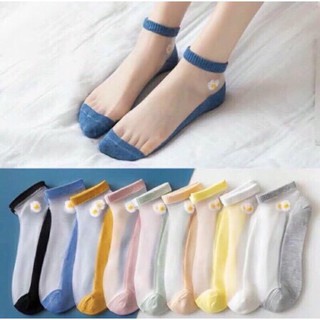 Combo 10 đôi tất/ vớ nữ lưới hoa cúc họa mi